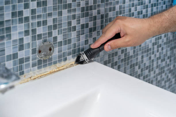 Best Mold Testing  in Zilwaukee, MI