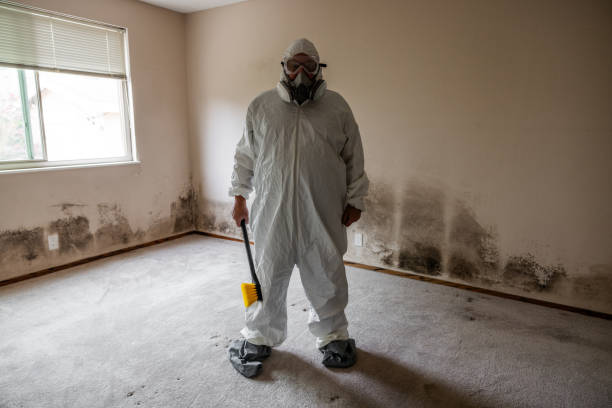 Best Attic Mold Removal  in Zilwaukee, MI
